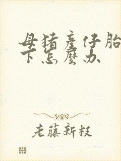 母猪产仔胎衣不下怎么办