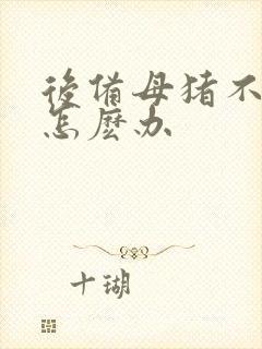 后备母猪不发情怎麽办