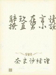 辞玖在言情文里撩直男小说