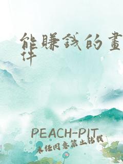 能赚钱的画画软件