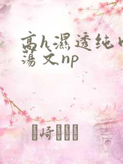 高h湿透纯肉放荡文np