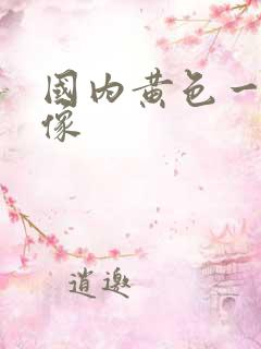 国内黄色一级录像