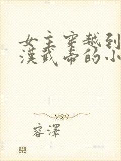 女主穿越到西汉汉武帝的小说