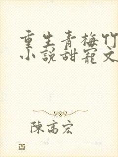 重生青梅竹马的小说甜宠文