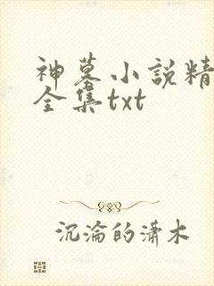神墓小说精校版全集txt