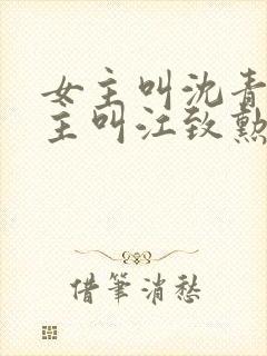 女主叫沈青青男主叫江致勋的小说