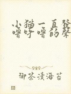 小猫一直发出呼噜呼噜的声音是怎么回事