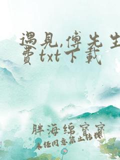 遇见,傅先生免费txt下载