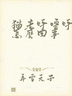 猫老呼噜呼噜的怎么回事