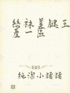 丝袜美腿玉足国产一区