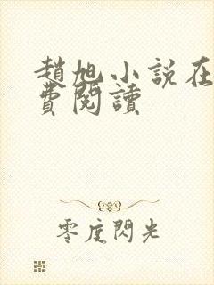 赵旭小说在线免费阅读