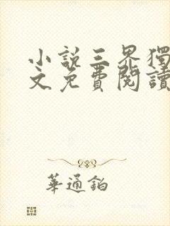 小说三界独尊全文免费阅读