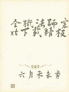 全职法师完本txt下载精校版