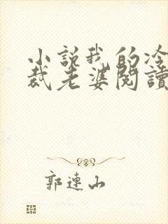 小说我的冷艳总裁老婆阅读