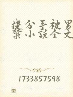 提分手被男友囚禁小说全文免费阅读