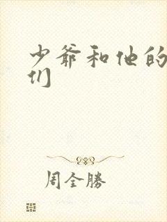 少爷和他的后妈们