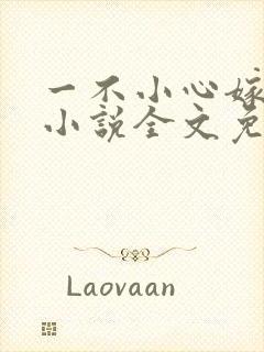 一不小心嫁总裁小说全文免费阅读