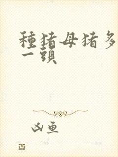 种猪母猪多少钱一头