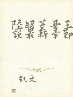 陆昭菱晋王的小说最新章节