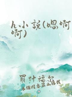 h小说(嗯啊嗯啊)