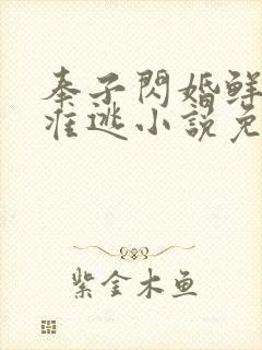 奉子闪婚鲜妻不准逃小说免费阅读