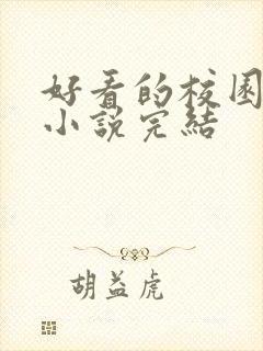 好看的校园言情小说完结