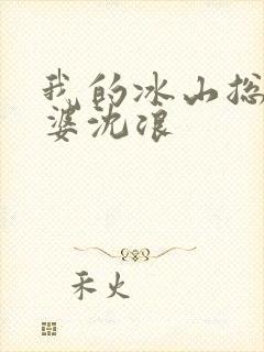 我的冰山总裁老婆沈浪