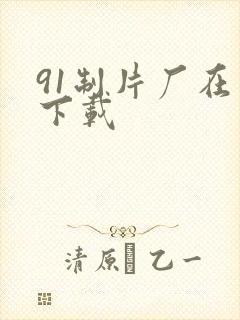 91制片厂在线下载