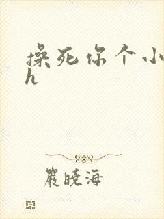 操死你个小骚货h