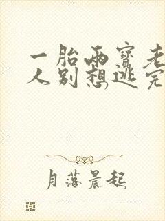 一胎两宝老婆大人别想逃完整版免费阅读