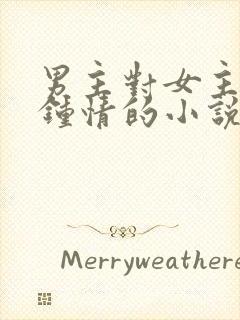 男主对女主一见钟情的小说校园文