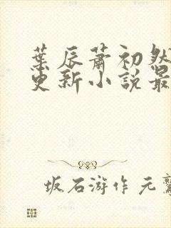 叶辰萧初然最快更新小说最新