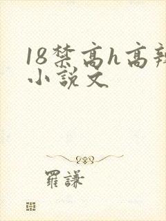 18禁高h高辣小说文