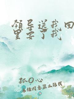 领导送我回家车里要了我