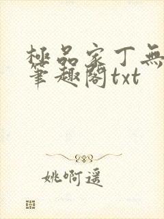 极品家丁无删节笔趣阁txt