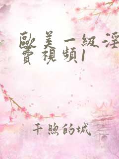 欧美一级淫片免费视频1