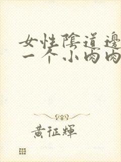 女性阴道边起了一个小肉肉粒