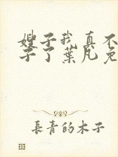 嫂子我真不是傻子了叶凡免费下载