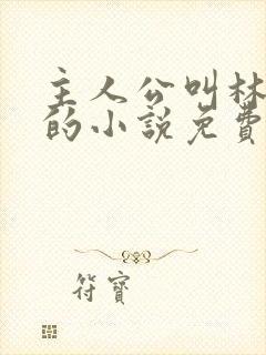 主人公叫林不悔的小说免费阅读