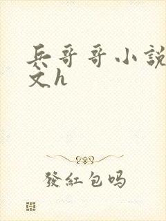 兵哥哥小说高干文h