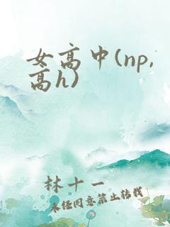 女高中(np,高h)