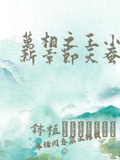 万相之王小说最新章节天蚕土豆