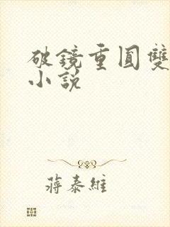 破镜重圆双男主小说