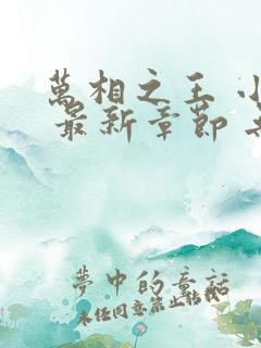 万相之王 小说 最新章节 无弹窗