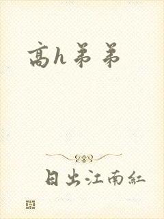 高h弟弟