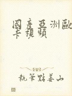 国产亚洲欧美不卡视频