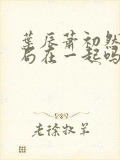 叶辰萧初然大结局在一起吗