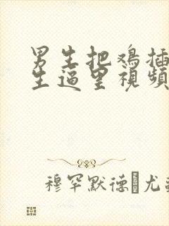 男生把鸡插到女生逼里视频