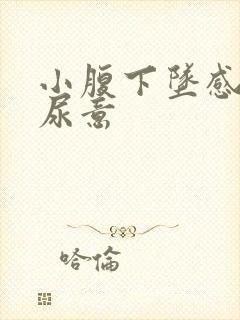 小腹下坠感总有尿意