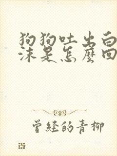 狗狗吐出白色泡沫是怎么回事